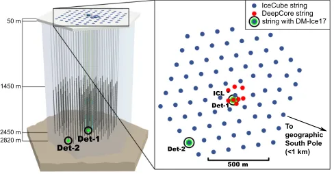 FIG. 3. The locations of the DM-Ice17 detectors within theIceCube array, with Det-1 near the array center and Det-2 atthe periphery