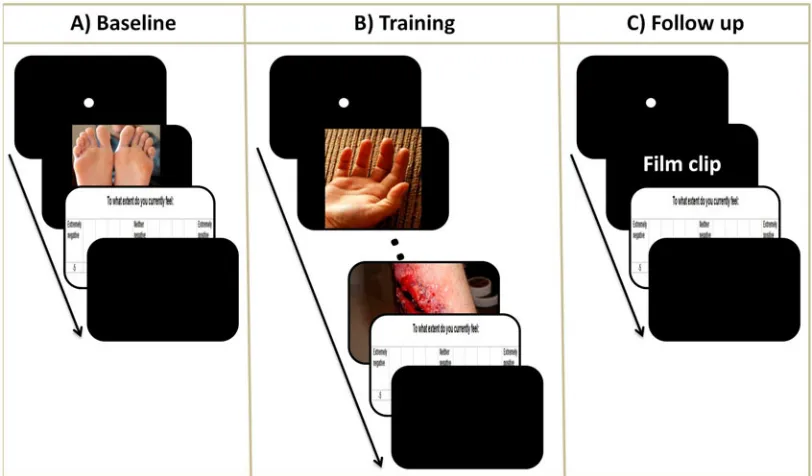 Figure 1.Schematic depiction of the paradigms, including baseline, training and follow-up phases