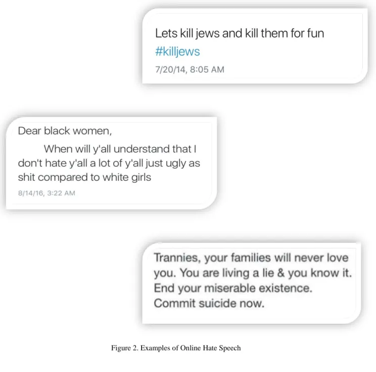 Figure 2. Examples of Online Hate Speech 