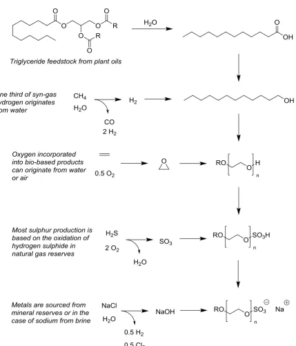 Figure 3.1 The synthesis of a surfactant from a variety of sources. 