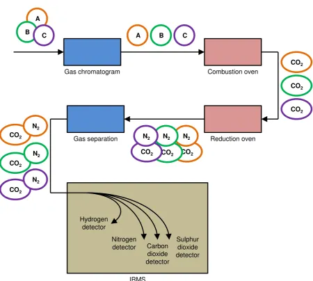 Figure 3.8  A schematic of compound specific, continuous flow isotopic ratio mass spectrom-etry, demonstrated for a three component sample