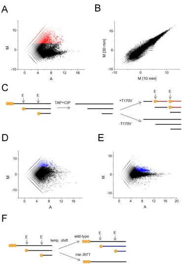 Figure 2. Scatterplot analyses of RNA-seq data. (in (D) with increased values ofcontinues in the WT, but not theincubation of 5depleted in thepartner