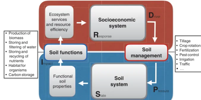 Figure 1. The human–soil interface related to the DPSIR framework. The obvious interfaces between the human and soil systems are soilmanagement and soil functions
