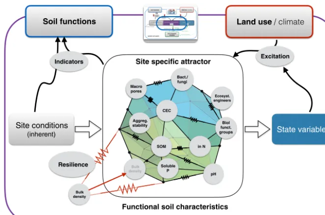 Figure 3. Zoom into Fig. 2: functional soil characteristics are related, forming a site-speciﬁc attractor as a quasi-stable state
