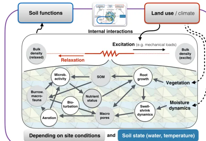 Figure 4. Zoom into Fig. 3: the excitation (i.e., disturbance) of the soil system by compaction due to mechanical loads is relaxed byinteracting processes at the smaller scale