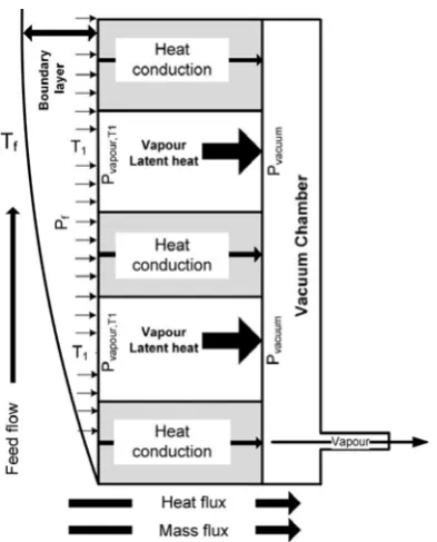 Fig. 1 Schematic diagram of mass and heat transfers in VMD 