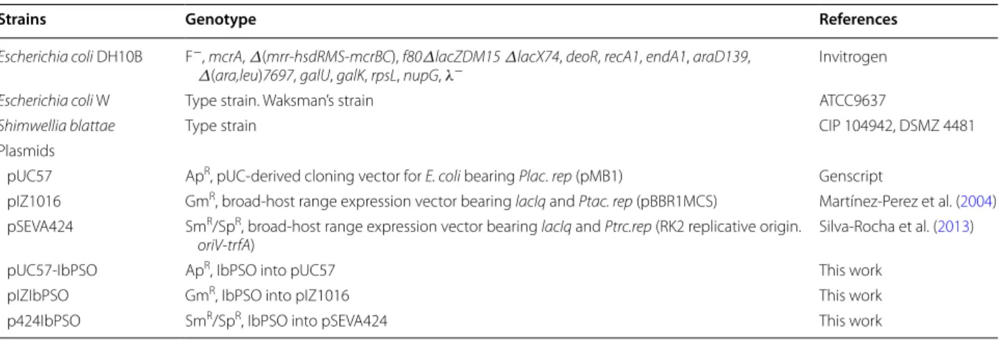 Table 1  Bacterial strains and plasmids used in this study