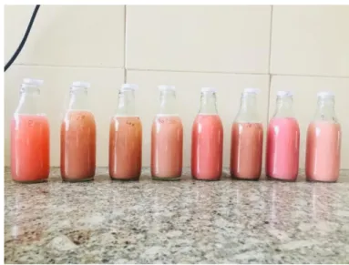Figure 1: Guava nectar prepared with different concentration of guava and aloevera. 