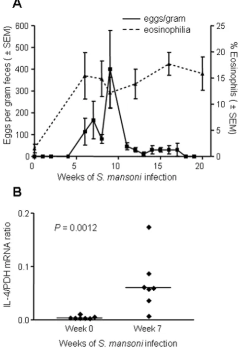 Figure 1. Parasitologic and immunologic changes in rhesusmacaques infected withfeces in stool samples and percent eosinophils in blood from monkeysthat were infected with Schistosoma mansoni