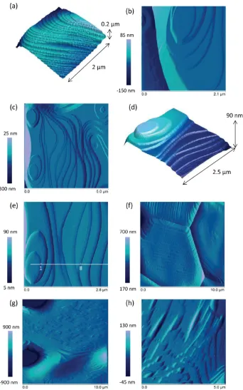 Figure 7. Atomic force microscopy images depicting surface features of CeO2 spent nuclear fuel analogue surfaces: (a) showing {2̅11} microfacetsperpendicular to the plane {1̅11}; (b) facet structures extending into grain boundaries; (c) ridge and valley st