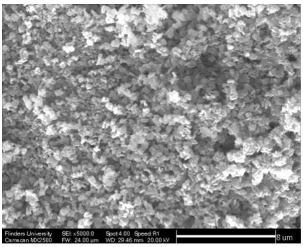 Fig. 9 SEM measured surface morphology of multivalent ion solution exposed MFI-type zeolite membrane