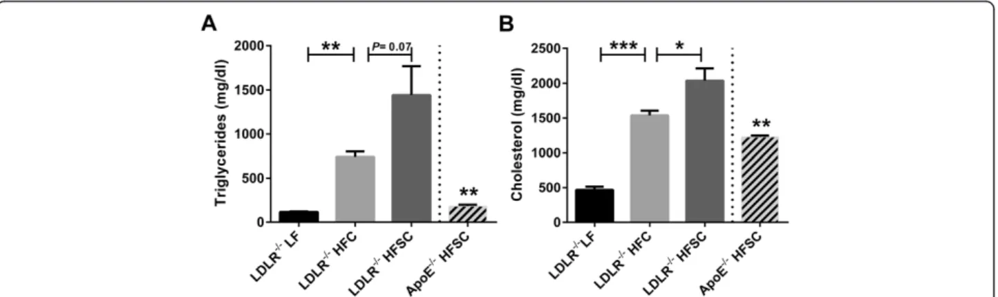 Figure 2 Effect of dietary treatment on plasma lipids. Analysis of fasting plasma levels of triglycerides (A) and cholesterol (B) in LDLR −/− animals fed HFSC, HFC or LF and ApoE −/− mice fed HFSC for 16 weeks (n = 5 animals per group)