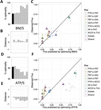 Figure 4.4: Measures of optimality and predictability after adaptation 