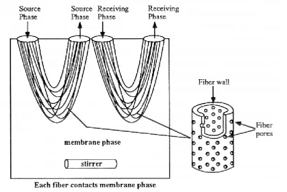 Figure  2.5. Two module hollow fibre supported liquid membrane [46] 