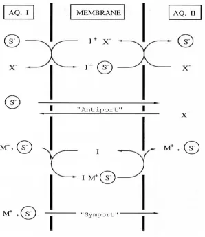 Figure  2.9. Anionic Antiport and Symport Transport [46].
