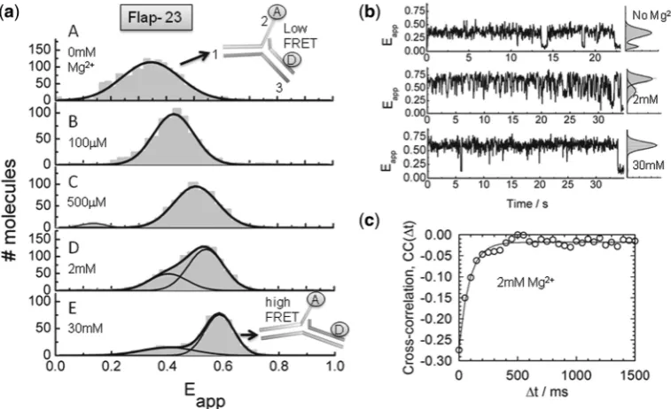 Figure 2. Structural transitions in the Flap-23 substrate studied by sm-FRET. (molecules in the absence (panel A) and presence of increasing Mgcontributions from ﬂuorophore blinking and photobleaching