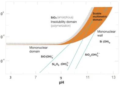 Figure 2.3 – Silica species in equilibrium with amorphous silica. Diagram computed 