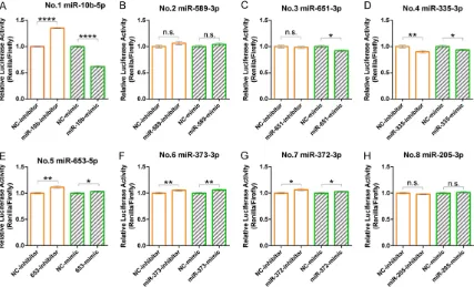Figure S2. Of eight microRNAs experimentally comfirmed to have an impact on TIAM expression, only miR-10b-3p directly targeted TIAM1 mRNA 3’-UTR