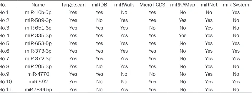 Table 2. MicroRNAs predicted to target TIAM1 mRNA 3’UTR
