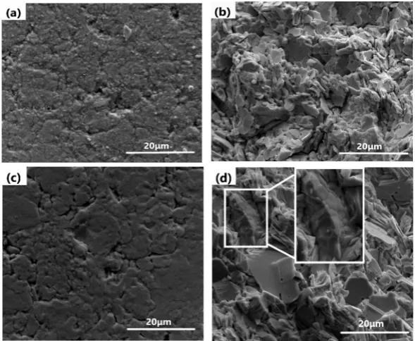 Figure 8 presents the SEM micrographs and fracture images of 3 wt% Bi2at 570°C and 670°C