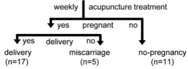 Figure 1. Overview of the 33 patients and 3 study groups: a delivery group, a miscarriage group and a no-pregnancy group