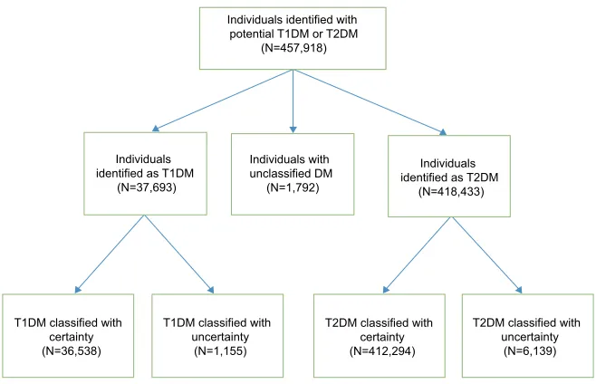 Figure 2 Flowchart for algorithm step 2: Classification of individuals with T1DM and T2DM.Abbreviations: DM, diabetes mellitus; T1DM, type 1 diabetes mellitus; T2DM, type 2 diabetes mellitus.