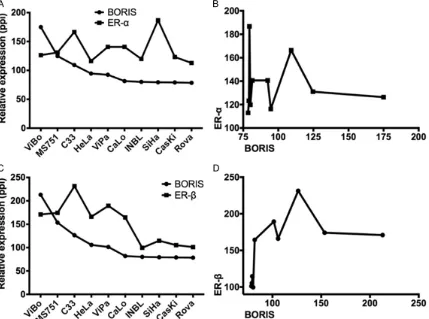 Figure 3. BORIS, ER-α, and ER-β protein expressions in cervical cancer cell lines by Western-blot