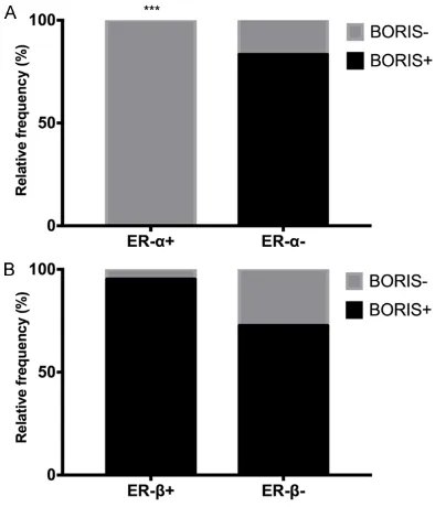 Figure 7. Association between the BORIS protein and both estrogen receptors in the cervical tissues ana-lyzed by IHC