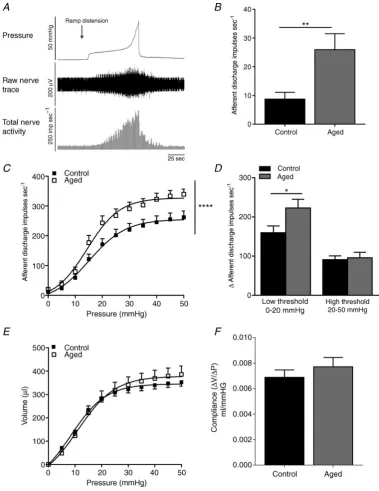 Figure 2. Afferent nerve activity was signiﬁcantly increased in aged mice