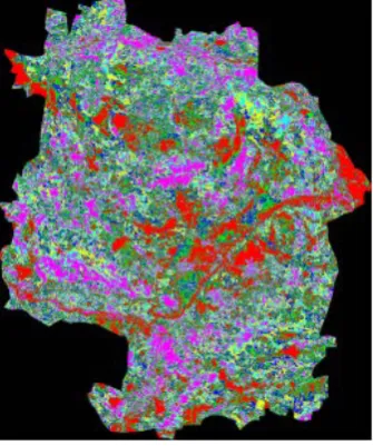 Figure 13. Classified image of 1990.                                                                        