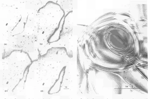 Figure 2 shows how numerous loops one above the other from the pinning by bromine are created loops of succeeding boundary dislocadons in dif-ferent planes