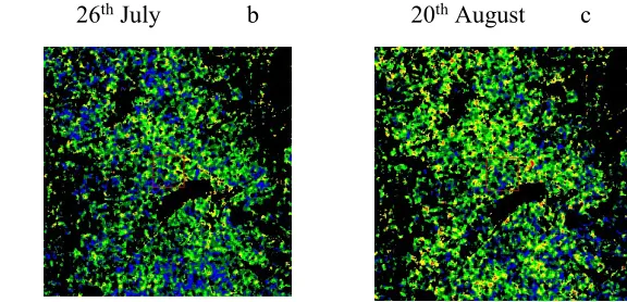 Fig. 8(a-c) Temporal RVI in Surendranagar and surrounding area for three dates of 