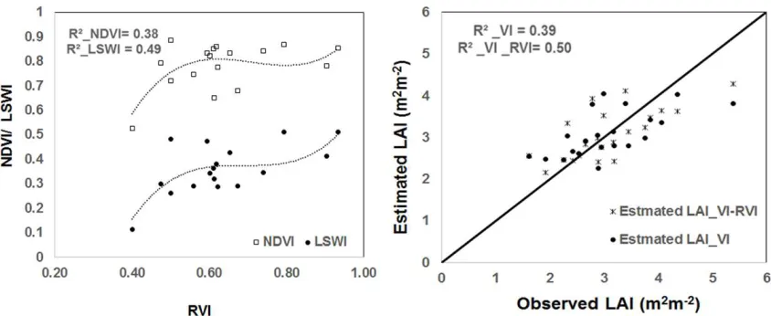Fig. 15 Relationship of RVI with NDVI and LSWI 