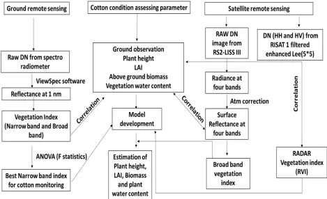 Fig 2 Methodology for assessing cotton condition parameters 