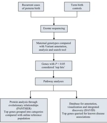Figure 1. Overall study schematic and analysis summary.
