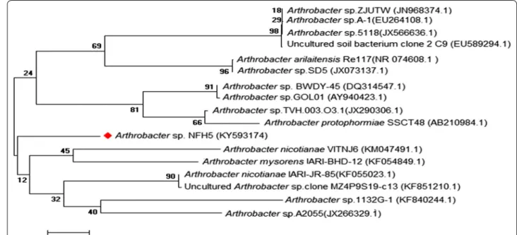 Fig. 3  Effect of different substrates on keratinase production by 