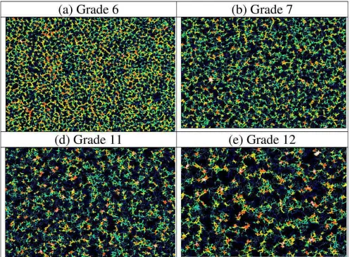 Figure 10. Vectorization of the furrows contained on EDM surfaces for four EDM grade.  