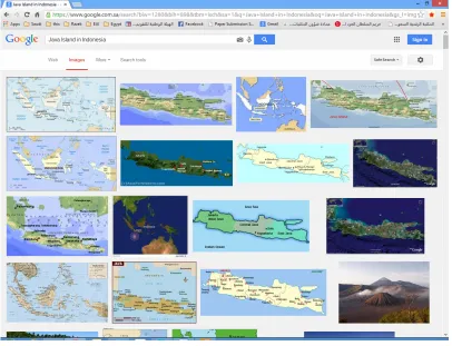 Figure 3. The results of java island with its slaves. 
