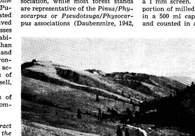 FIGURE 1. View of lower Cummings Creek Valley in winter, 
