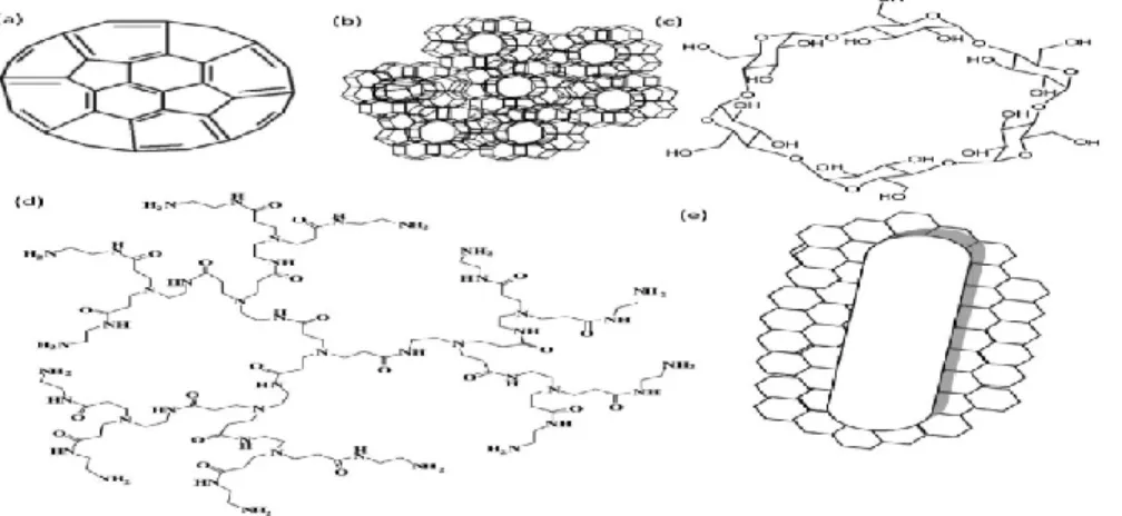 Fig. 1 Structure of different nanomaterials used in water purification (a) Fullerenes (b) Zeolyte  (c) Cyclodextrin (d) Dendrimer (e) Carbon nanotubes 