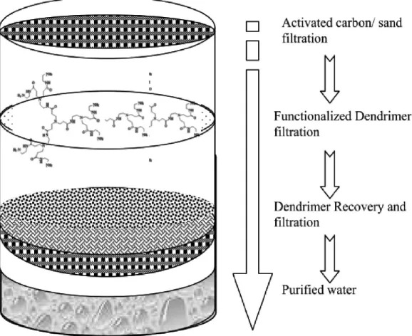 Fig. 2 Overview of Dendrimer Enhanced Filtration process. 