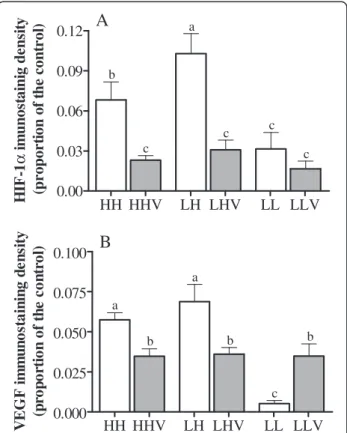 Figure 5 Hypoxia inducible factor 1 α and vascular endothelial