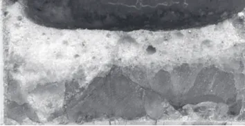 Figure 1. Cross section through the product of melt experiment 57.from a high proportion of residual crystalline matter