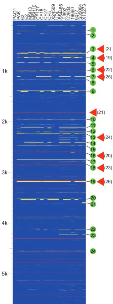Fig. 1. Analysis of genome content indicates a high level of gene conserva- conserva-tion