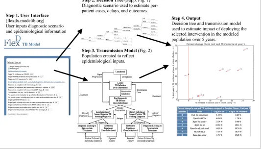Figure 1. Overview of user-friendly model. Users are asked, via open-source computer script or Web interface, to select one of the nine diagnostic strategies and to provide unit costs and three basic epidemiological parameters (TB incidence, MDR-TB prevale