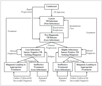 Figure 2. Transmission model of TB diagnosis. Boxes represent sub-populations in the model, and arrows represent rates of movement between those sub-populations