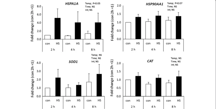 Figure 4 Changes in expression of selected heat shock protein genes (HSPA1A and HSP90AA1) and antioxidant genes (SOD1 and CAT) after culture at 40°C for 2, 4 or 8 h
