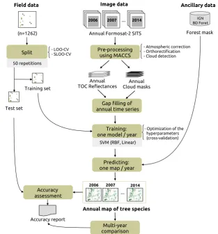 Figure 3. Classiﬁcation protocol for a single year time series, repeated for the 9 years available from2006 to 2014