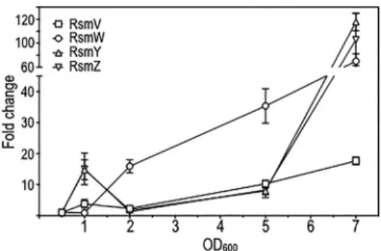 FIG 6  Expression proﬁles of RsmV, RsmW, RsmY, and RsmZ shown by a growth curve analysis