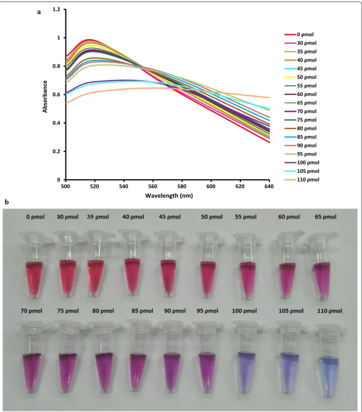 Fig. 1  Optimization of PNA concentration required to aggregation of AuNP. a Absorption spectra of AuNP solutions containing different concentra-